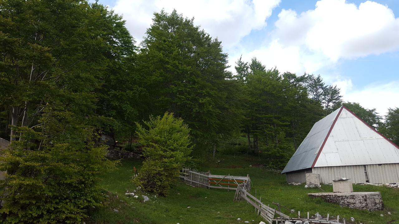 Hawkeye Villa Žabljak Eksteriør bilde